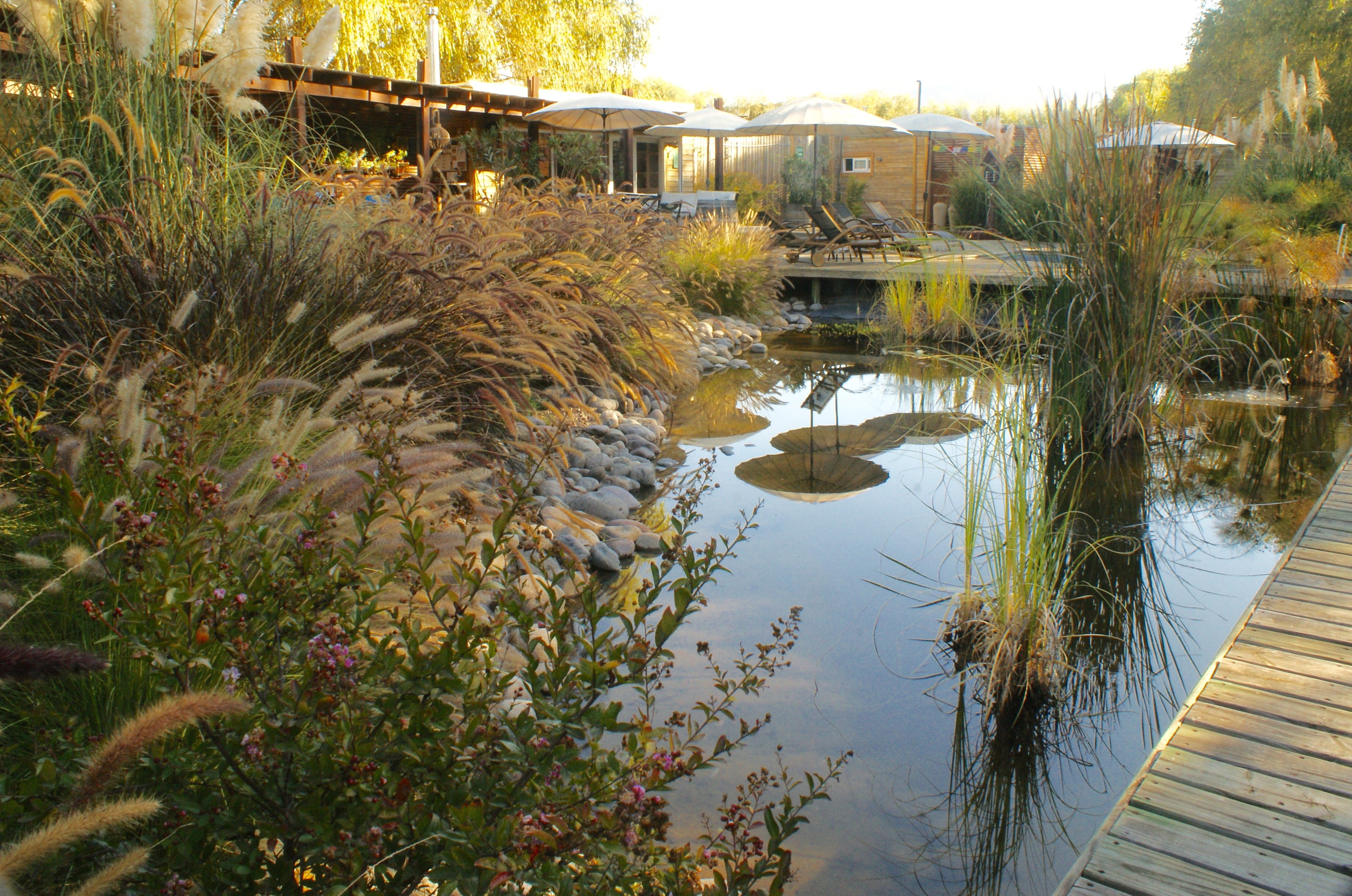 Barrica Lodge-官方