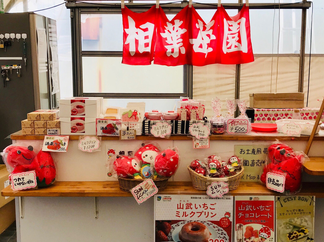 Aiba Strawberry Farm-山武市必去景点