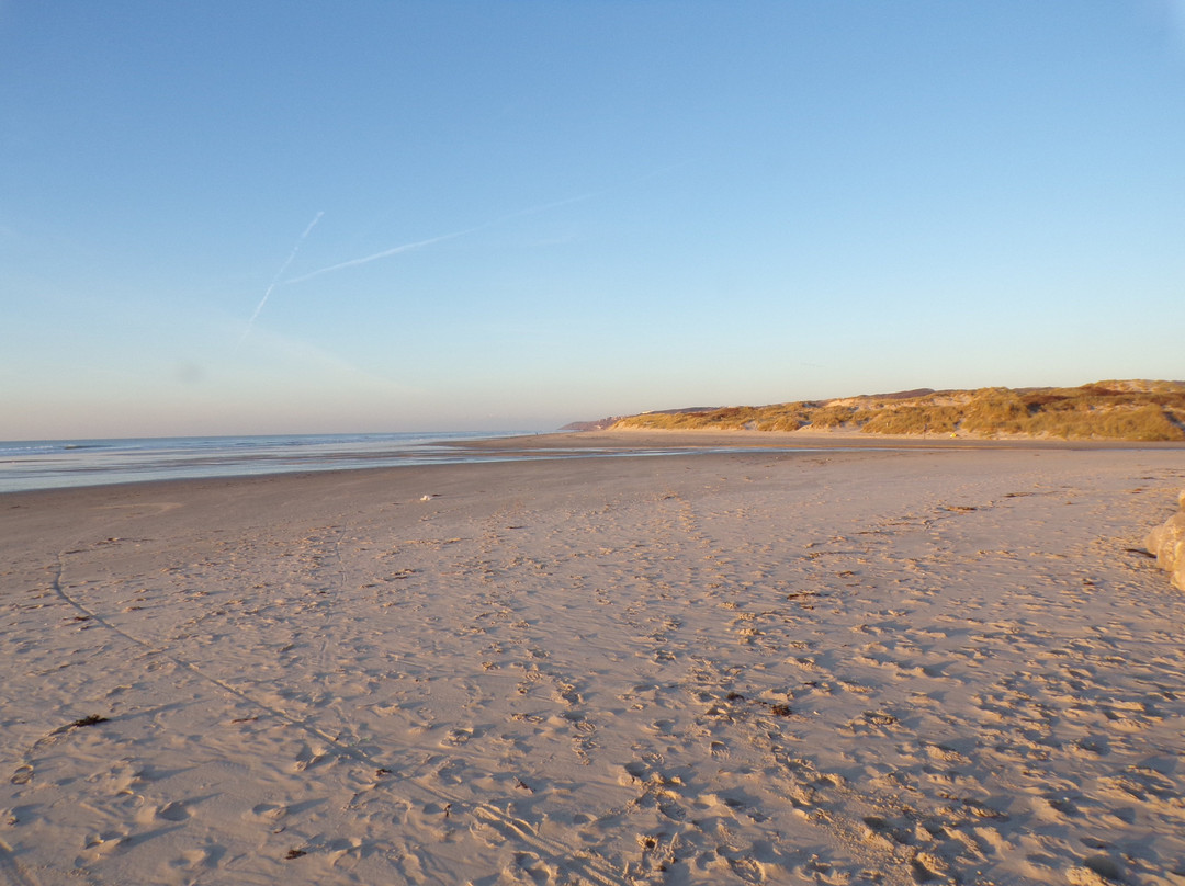 里贾纳酒店主图