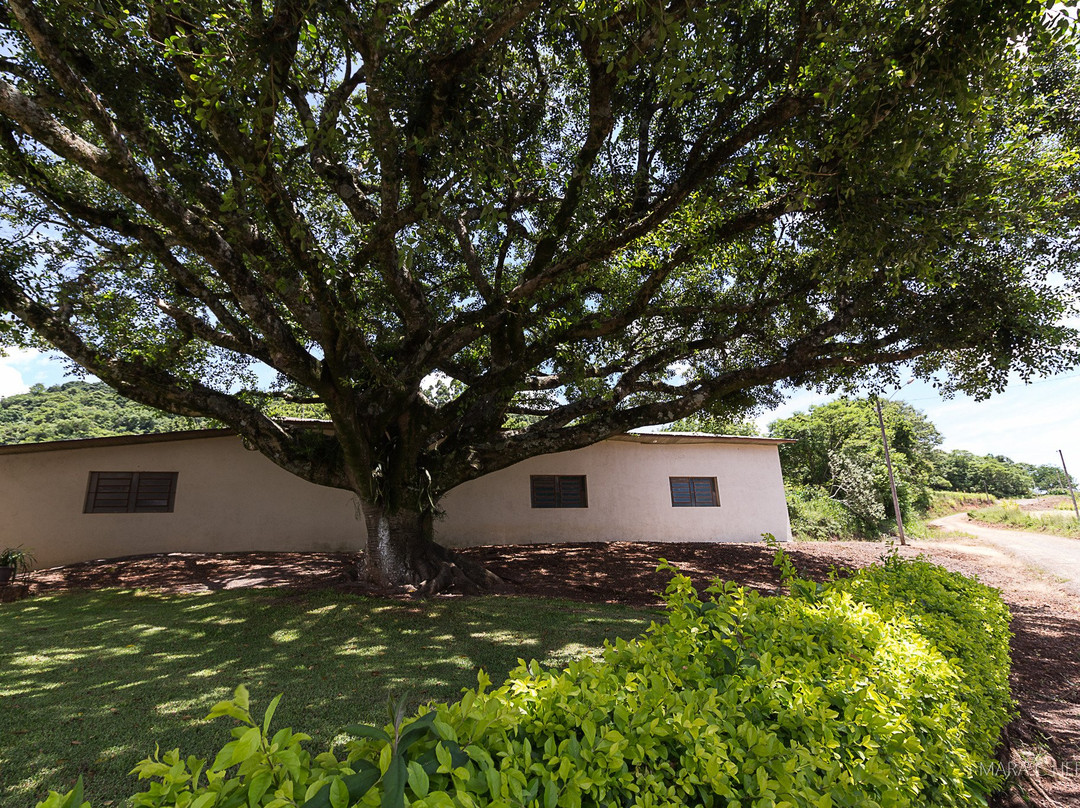 Igreja de Linha Tiradentes.-Boa Vista do Sul必去景点