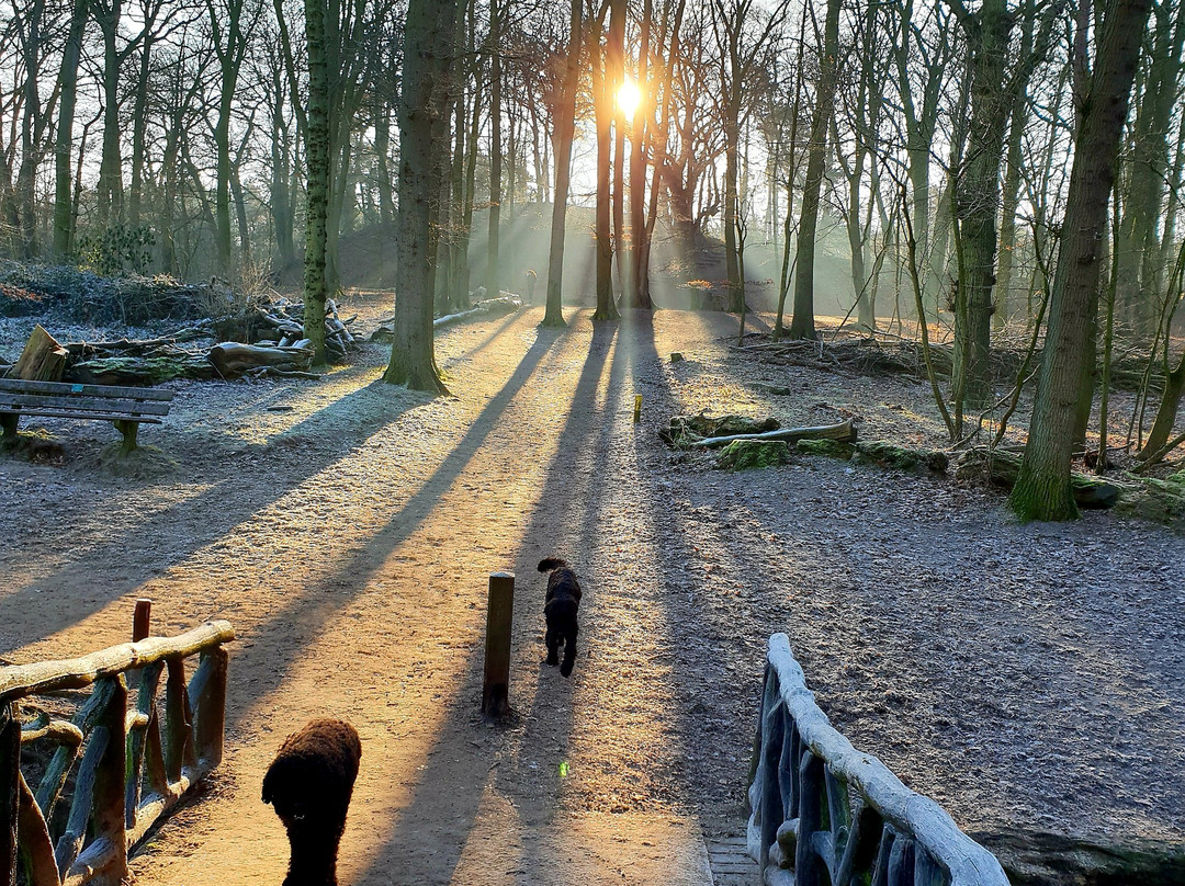 Wandelbos Groenendaal景点图片
