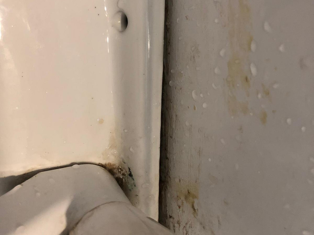 Jasmine Beach House主图