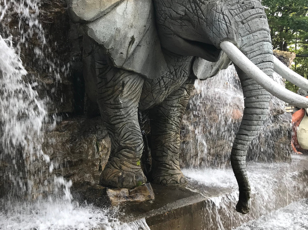 Gooney Golf-乔治湖必去景点