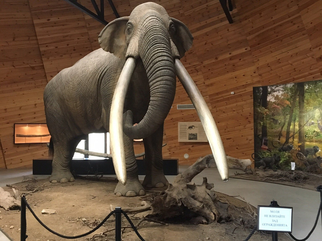 Pliocene Park-Dorkovo必去景点