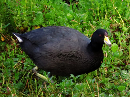 Parque Regional La Florida-波哥大必去景点