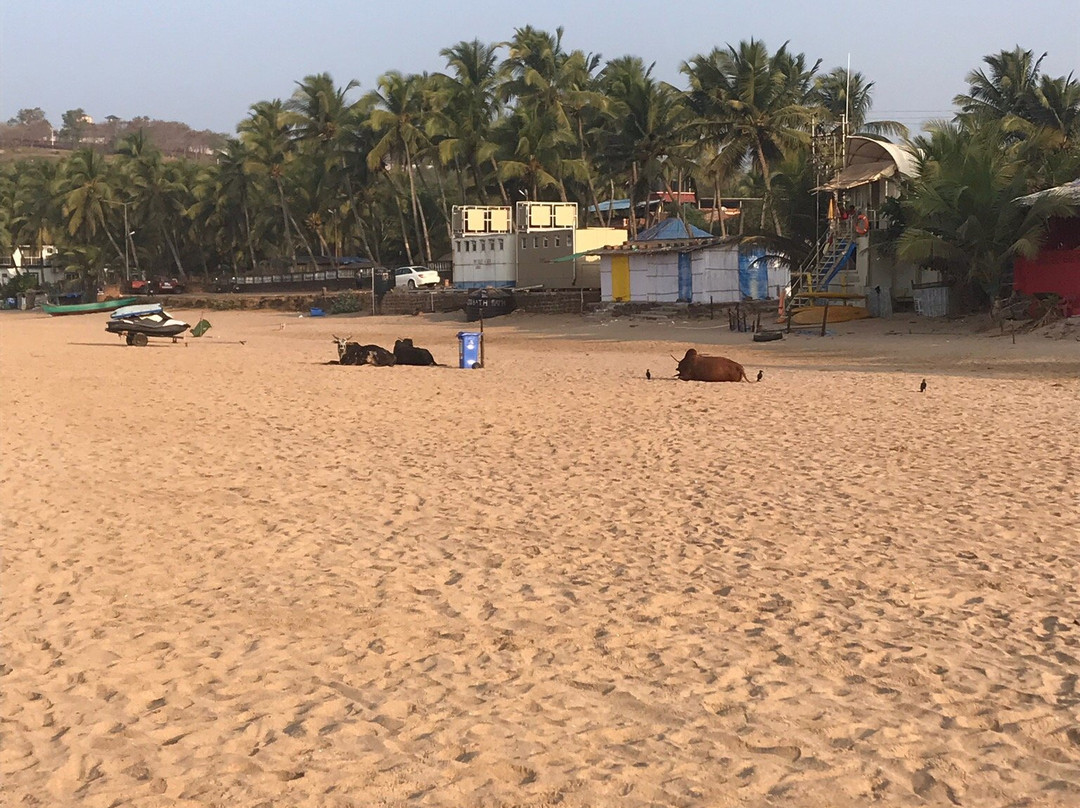 Bogmalo Beach景点图片