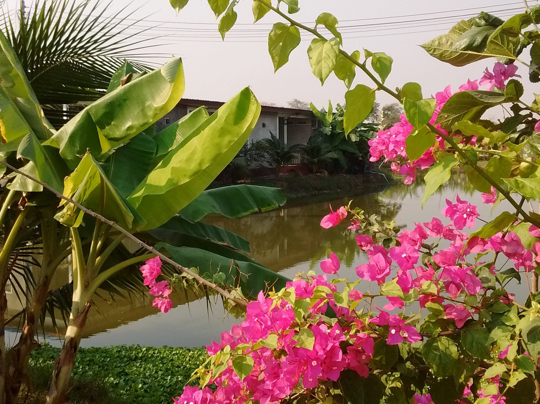 BN Organic Farm Resort主图