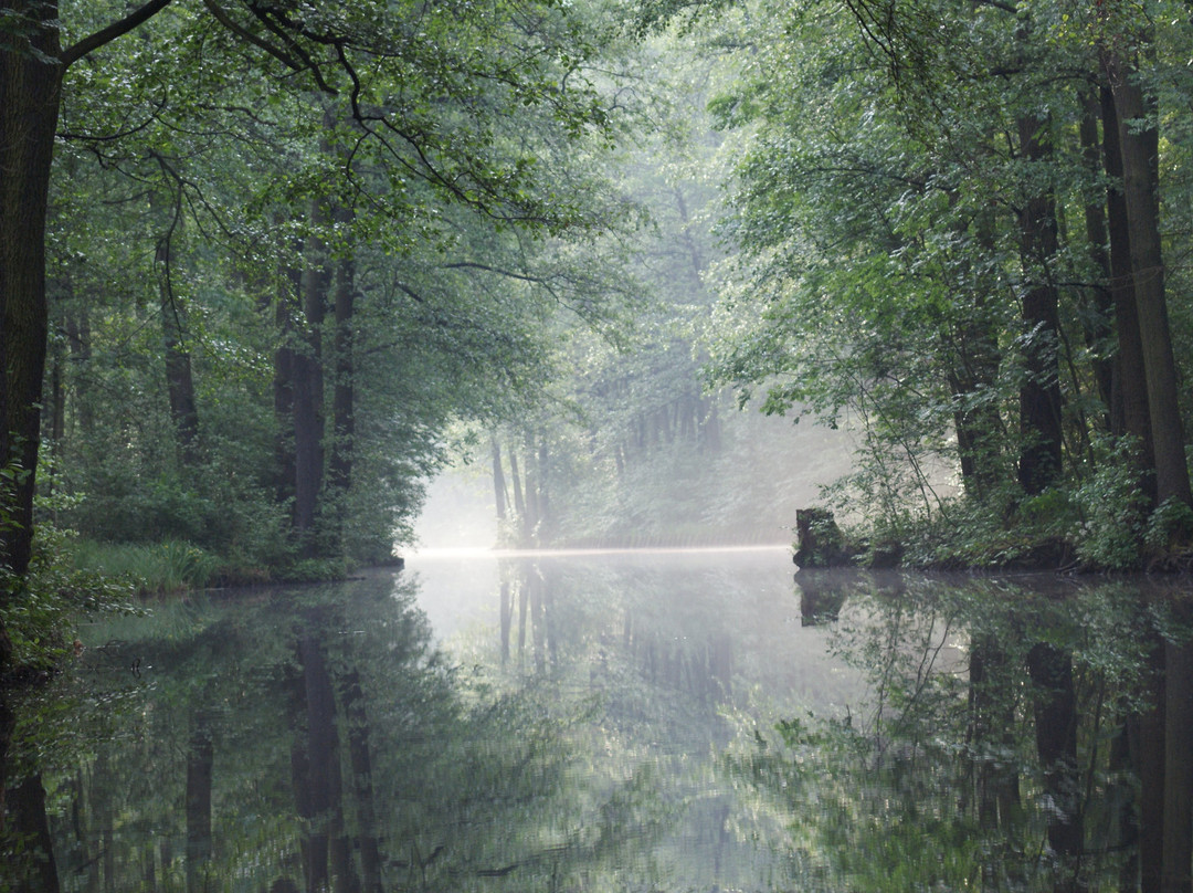 Kahnfahren-Spreewald-吕贝瑙必去景点