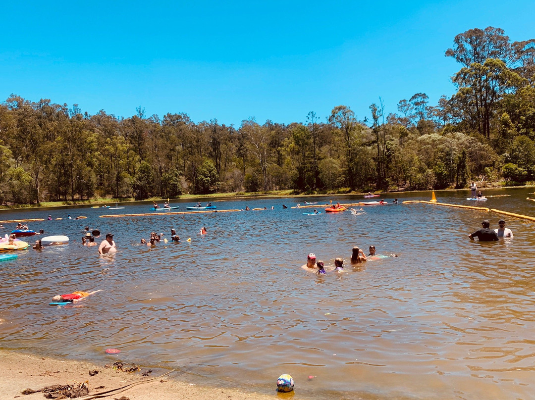Walkabout Creek Discovery Centre-布里斯班必去景点