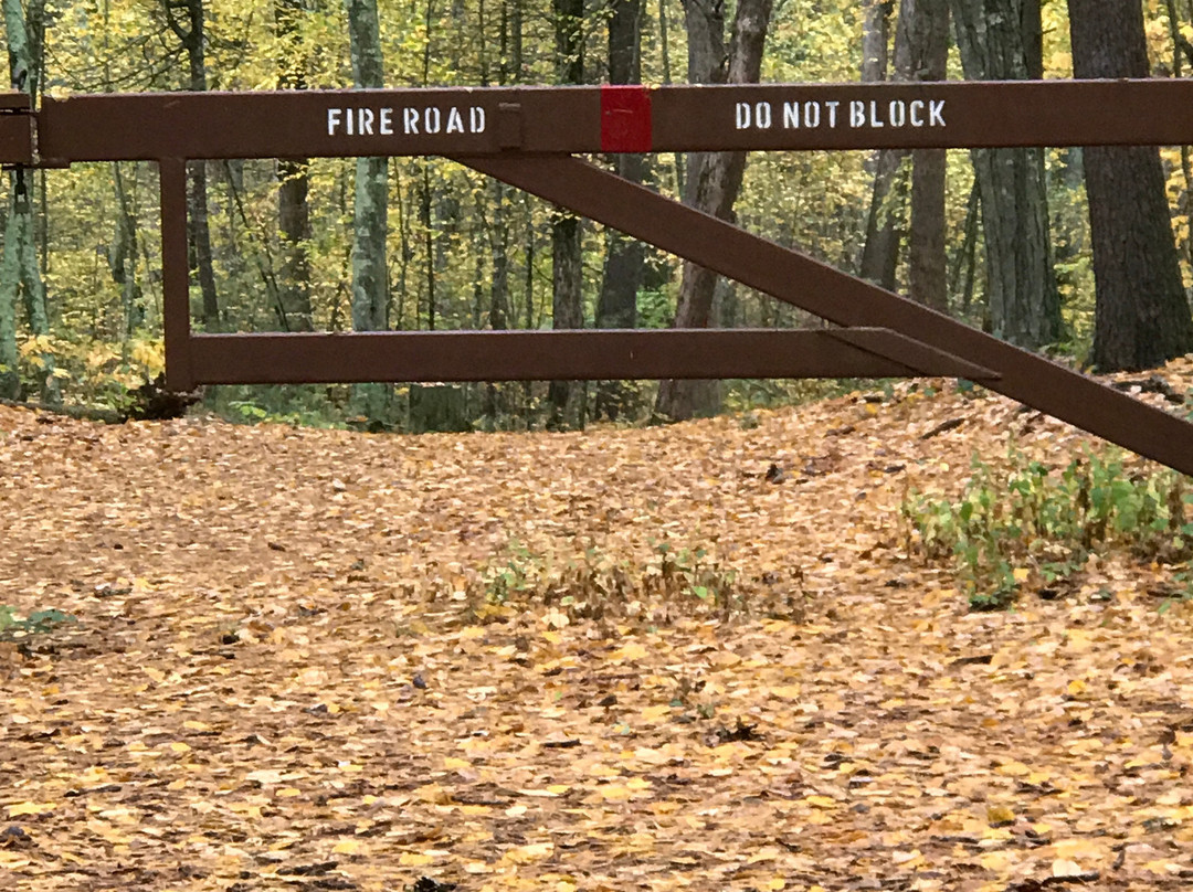 F. Gilbert Hills State forest-福克斯伯勒必去景点