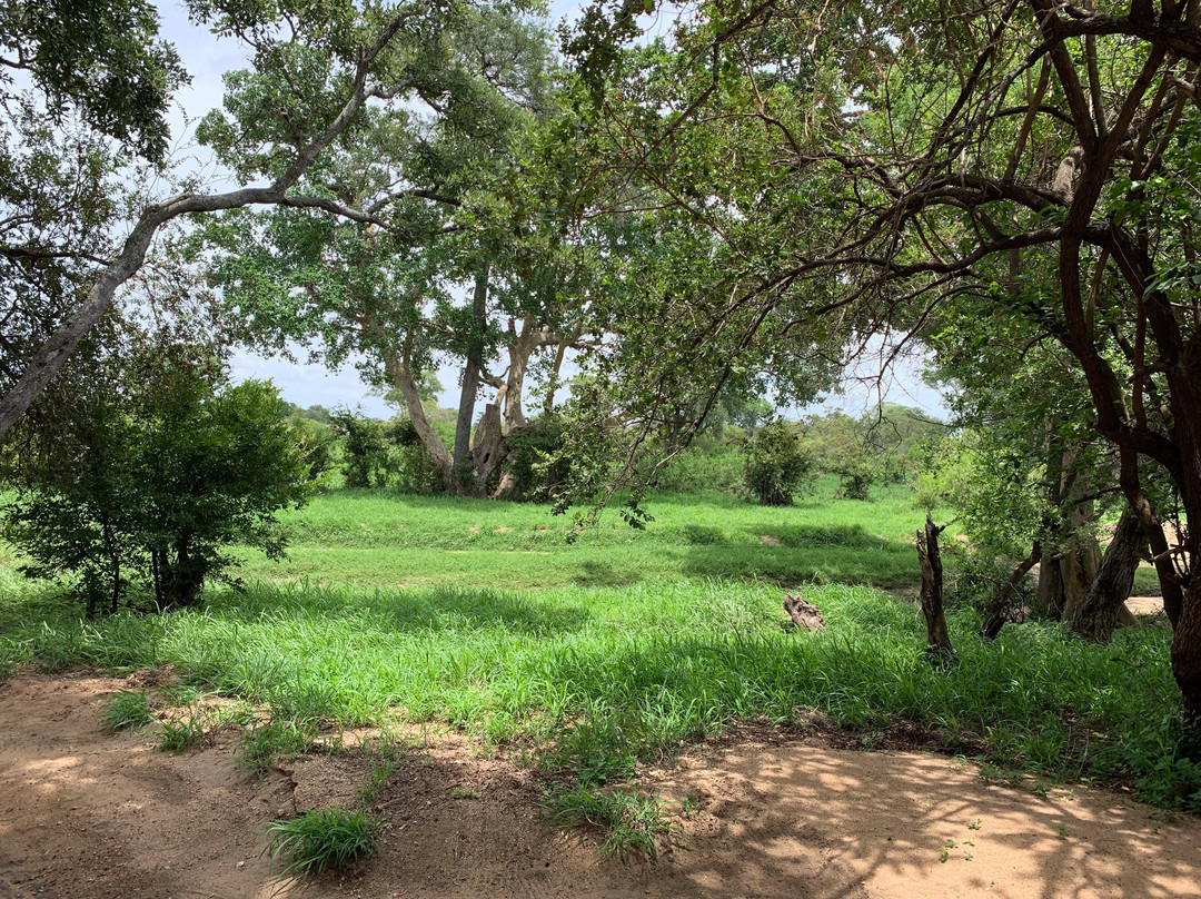 丁斯瓦洛野生动物园主图