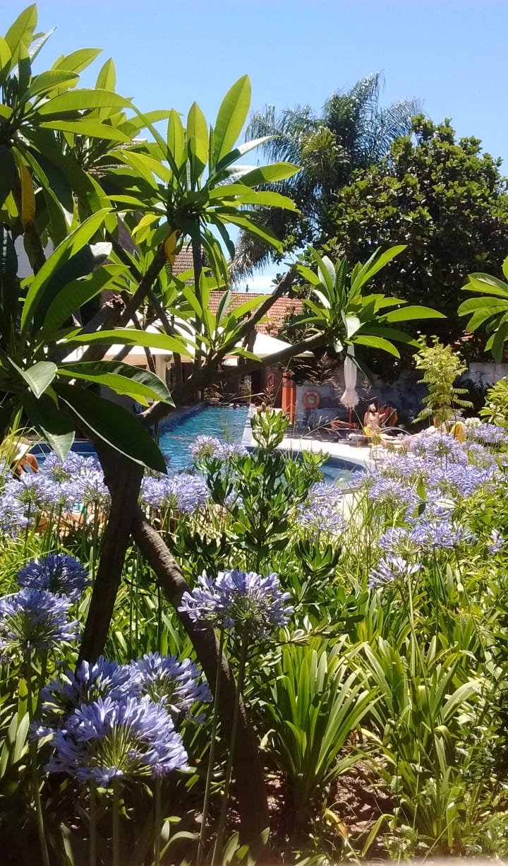 Hotel Jacaranda-酒店景观