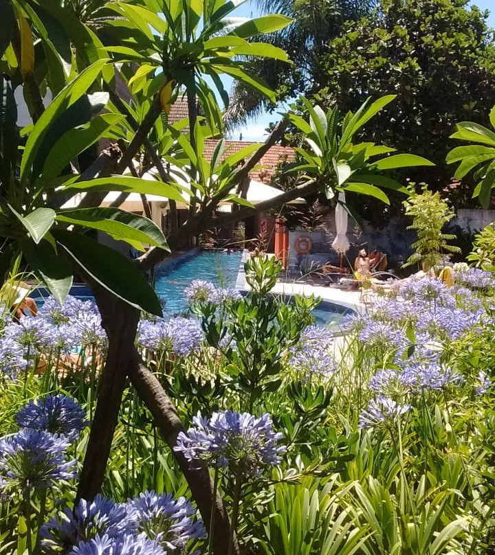 Hotel Jacaranda主图