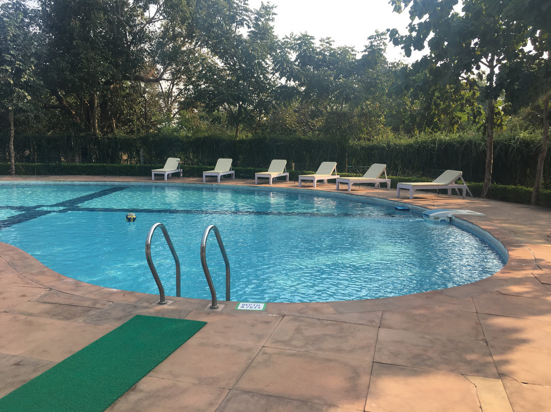 奇旺丛林旅馆主图