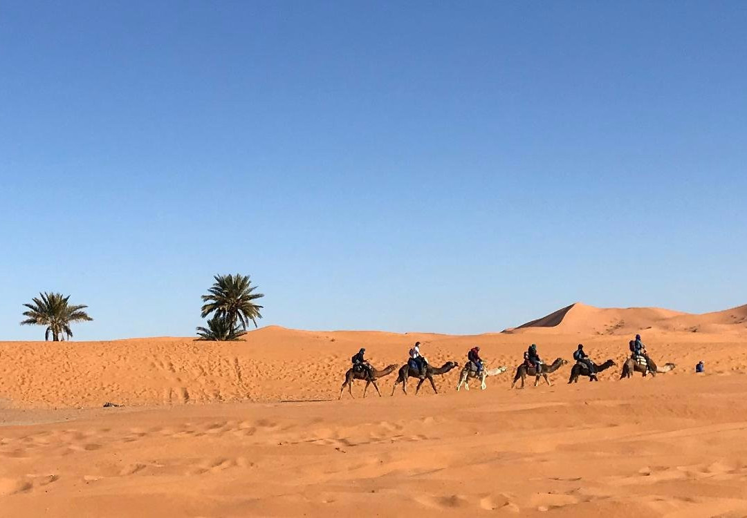 Auberge La Caravane主图