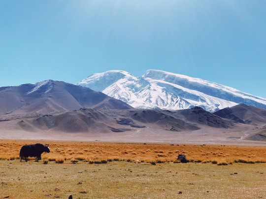 Kashgar Guide-喀什市必去景点