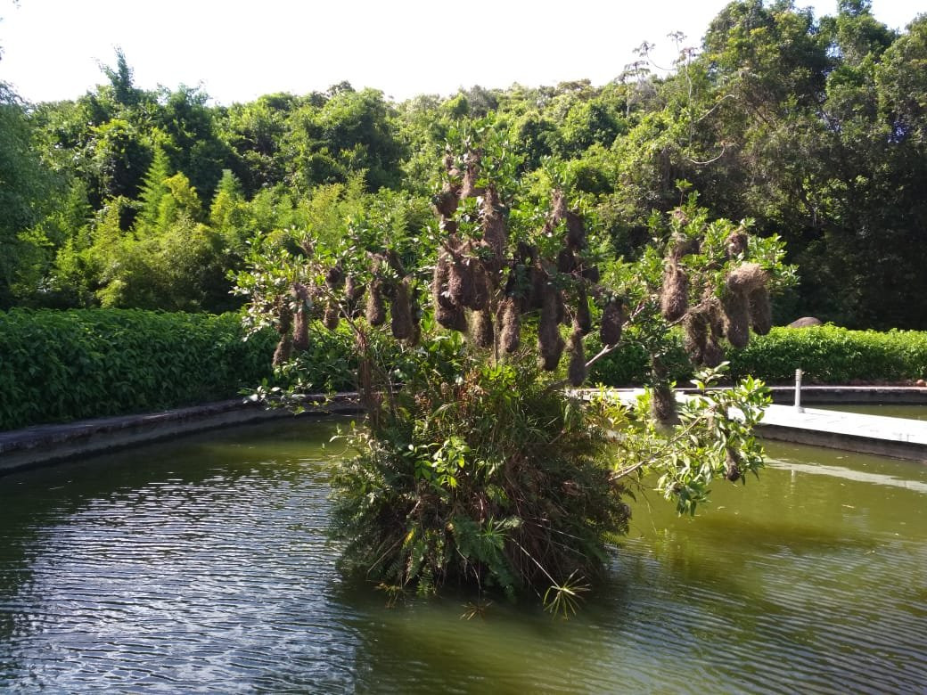 Centro de Turismo de Praia Formosa SESC主图