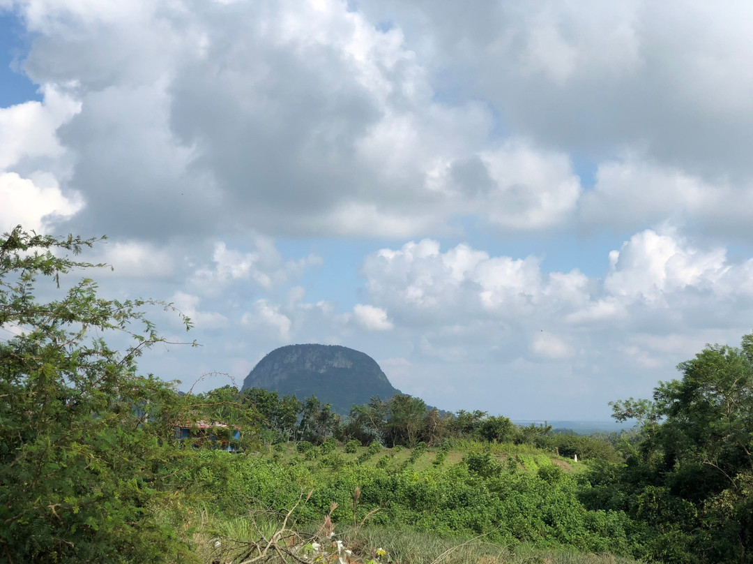 Casa Dra Alicia主图