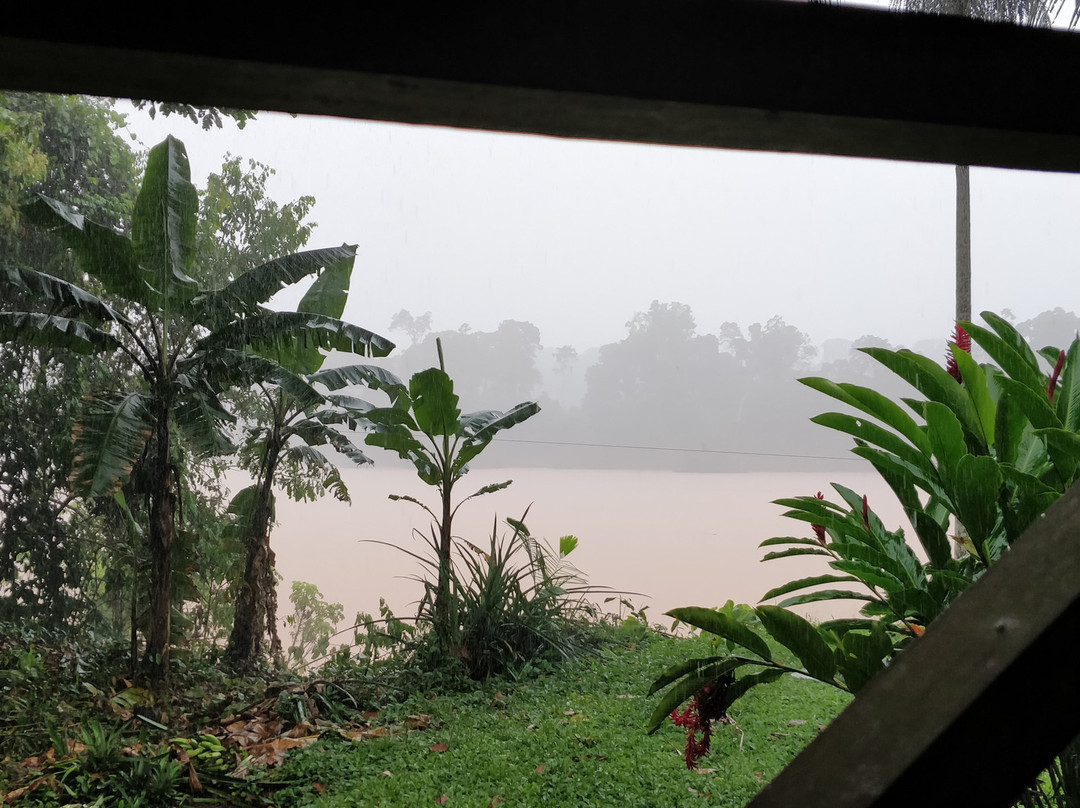 Wasai Tambopata Lodge主图