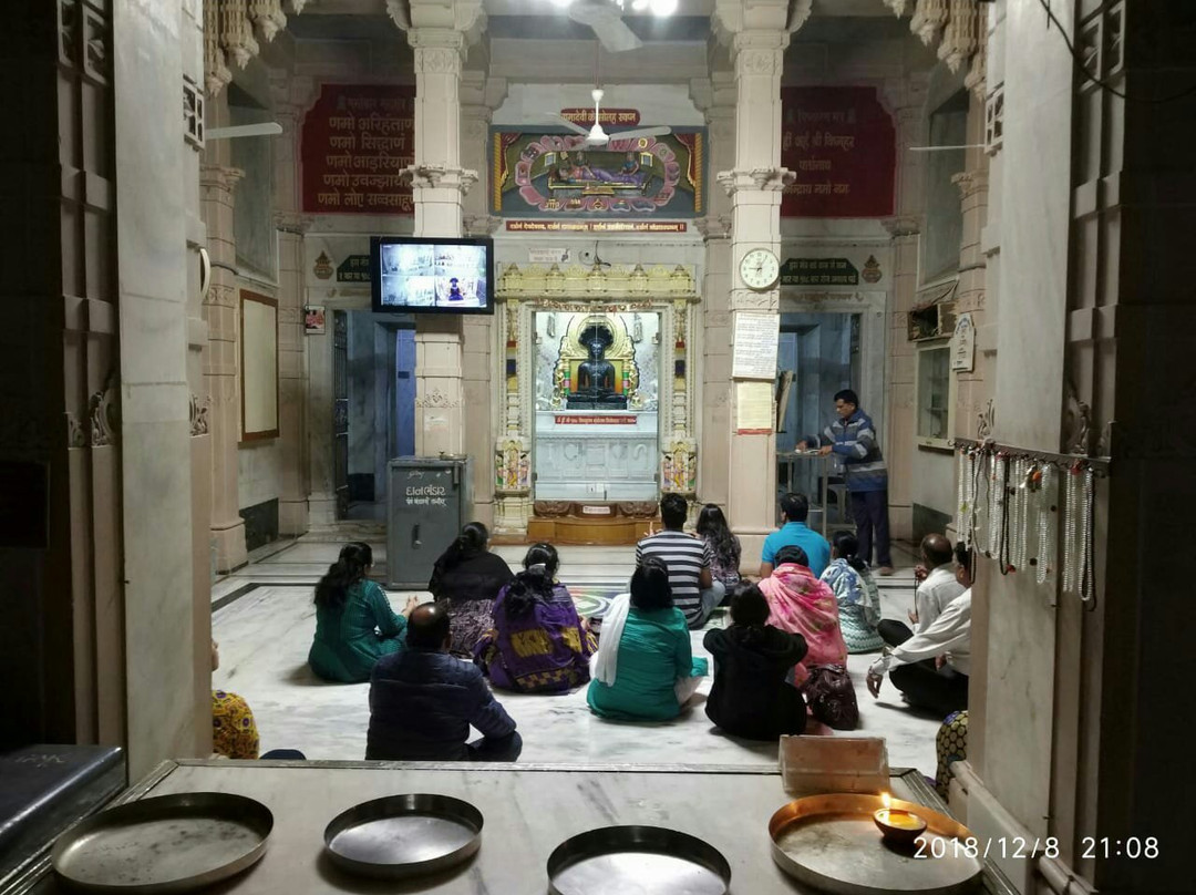 Vighnahar Parshwanath Digambar Jain Mandir景点图片