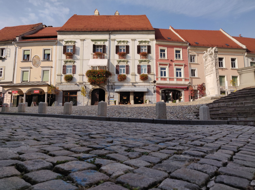 Slovenski trg Square-普图伊必去景点