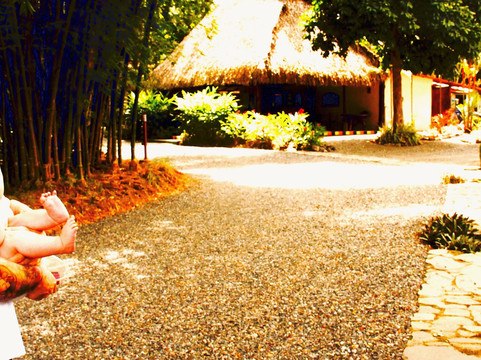 Vida Asana School Of Yoga