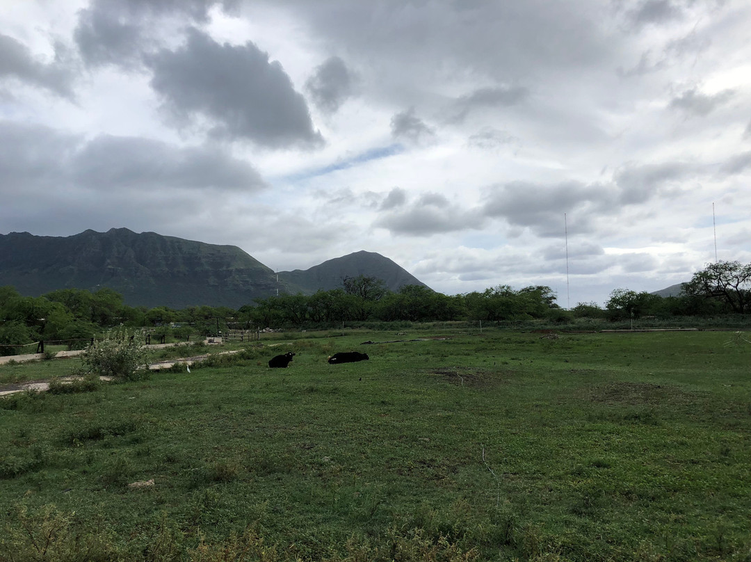 Naked Cow Dairy Farm & Creamery-怀厄奈必去景点