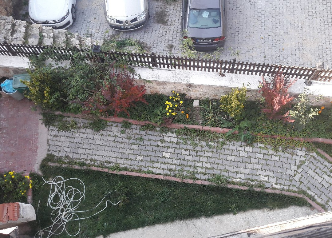 Kastamonu Kadioglu Konak主图