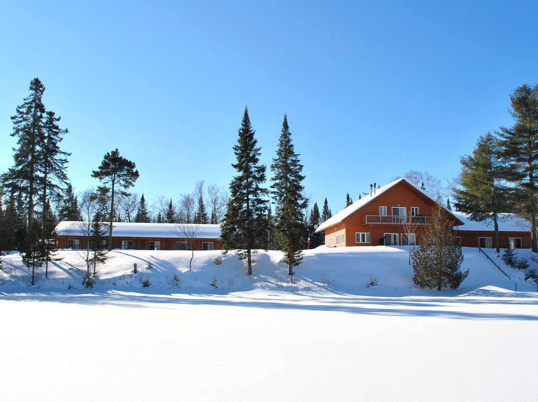 Motel Ours Bleu主图