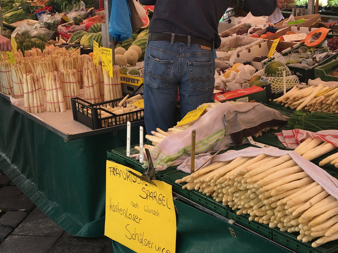 Grüner Markt-班贝格城必去景点