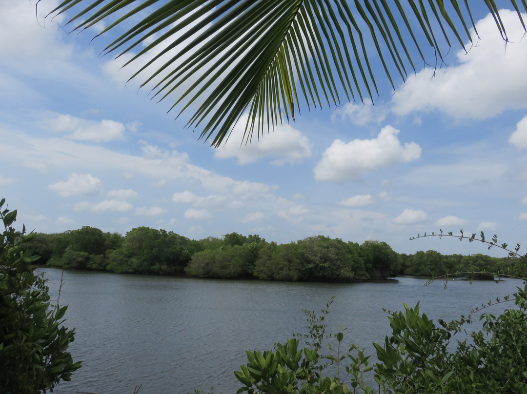 Tangalle Lagoon景点图片