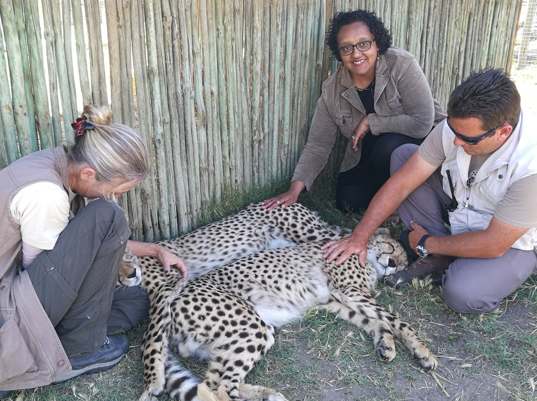 Grassy Park旅游攻略图片