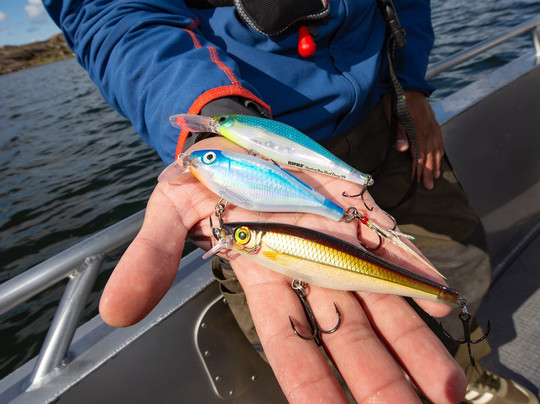 Wild Fish Sweden-Varekil必去景点