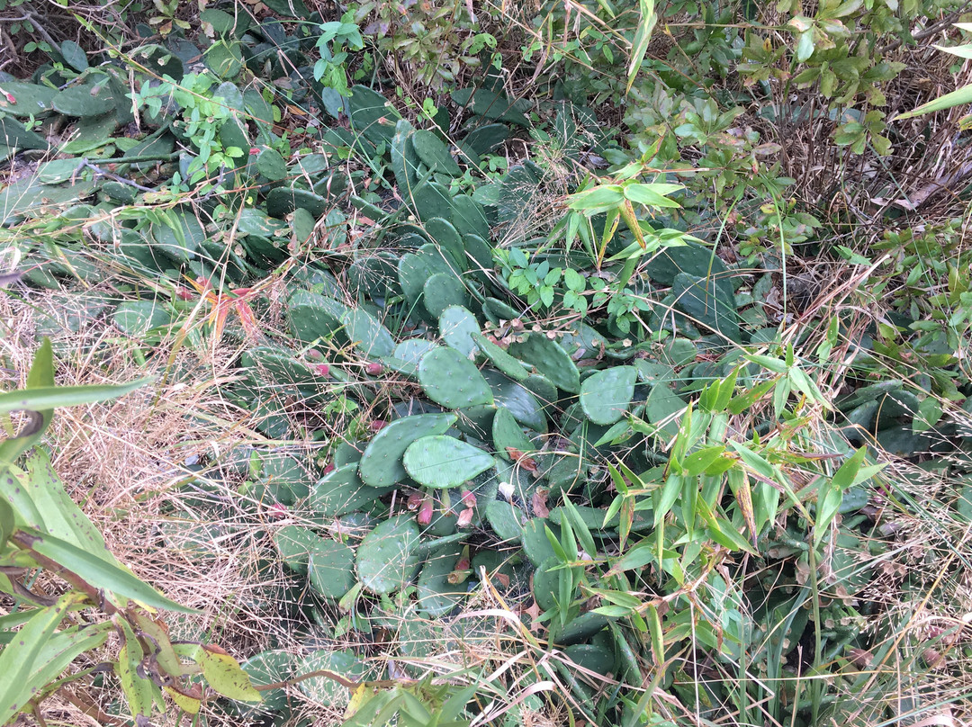 Marine Nature Study Area-Oceanside必去景点