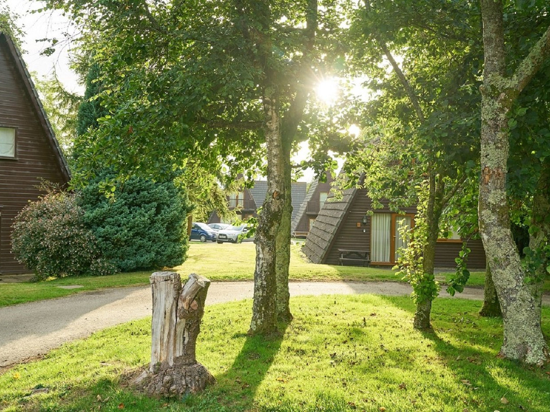 Bodmin Holiday Park