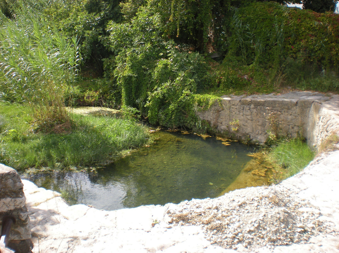 Moulin de Palisson景点图片
