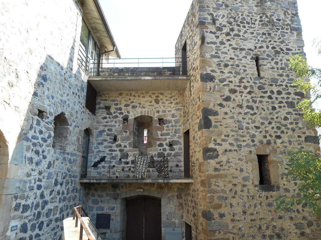Casa Fuerte de Juvinya景点图片