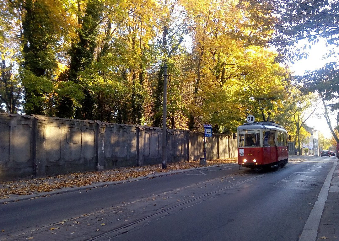 Tram line 38景点图片