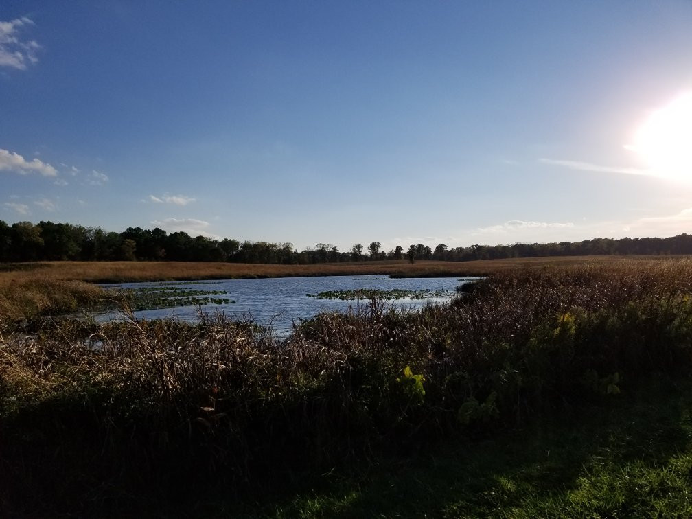 Deer Grove West-巴拉汀必去景点