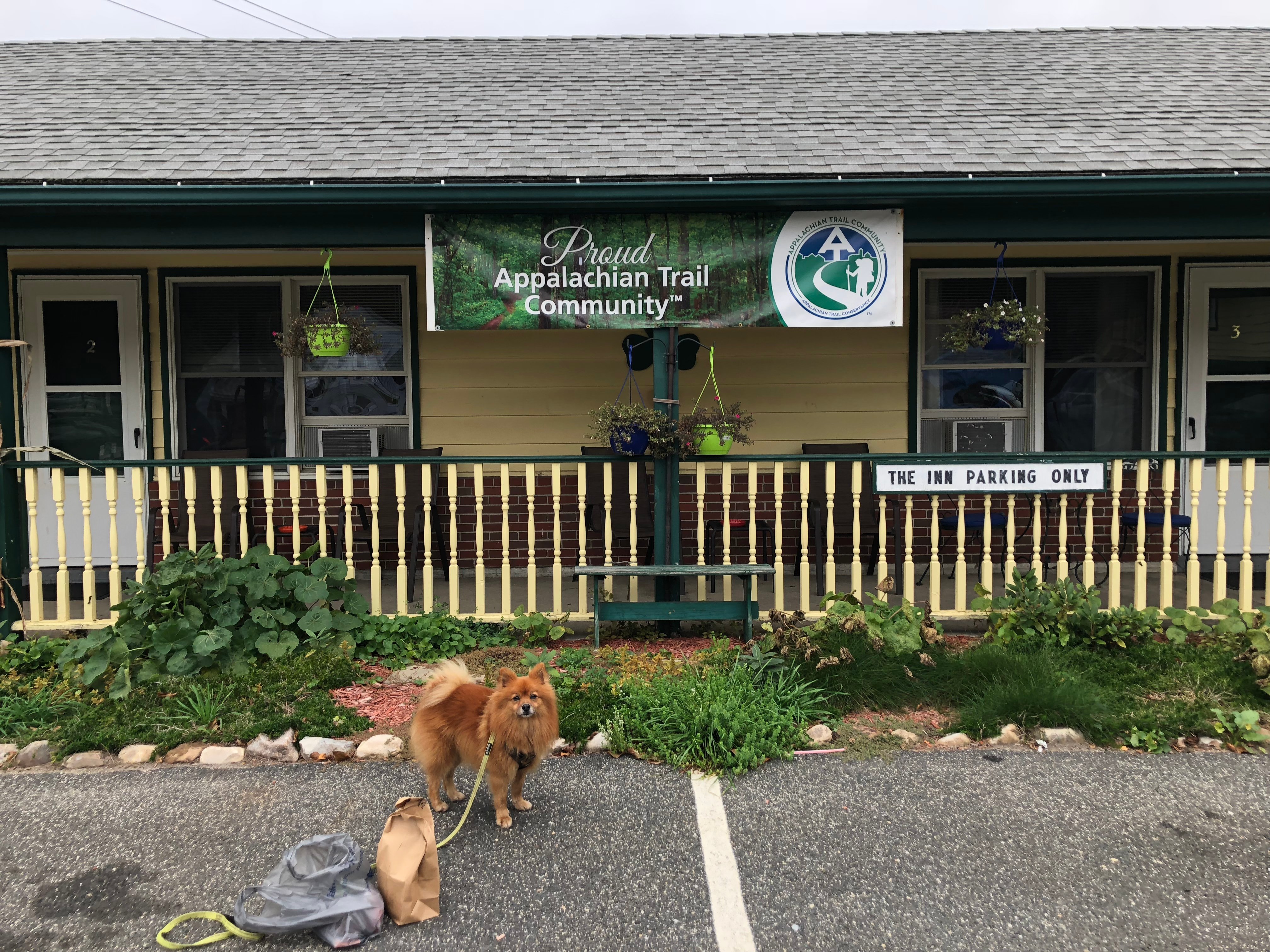 Shamrock Village Inn-官方