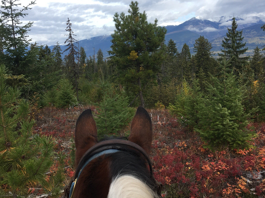 Willow Ranch-维尔蒙特必去景点