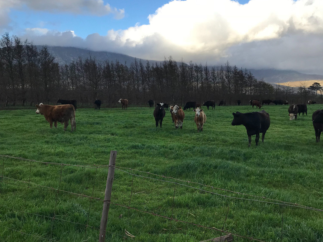 Cape Segways-Elgin必去景点