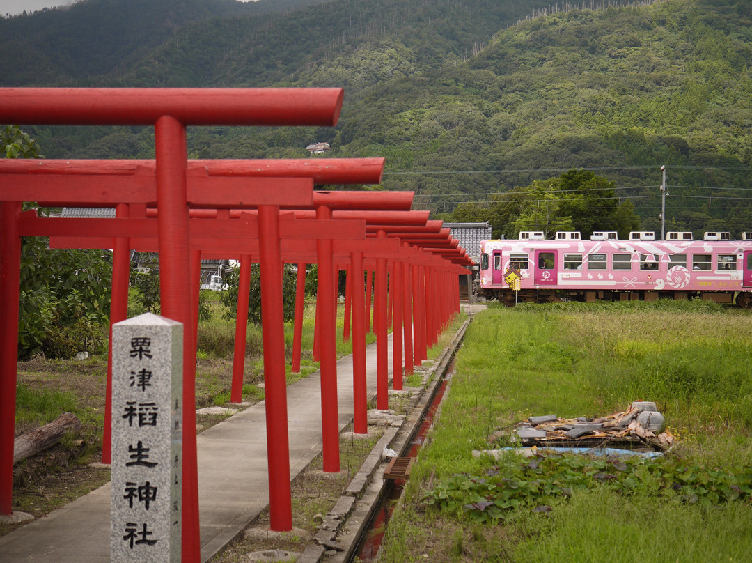 Awazu Inari Shrine-出云市必去景点