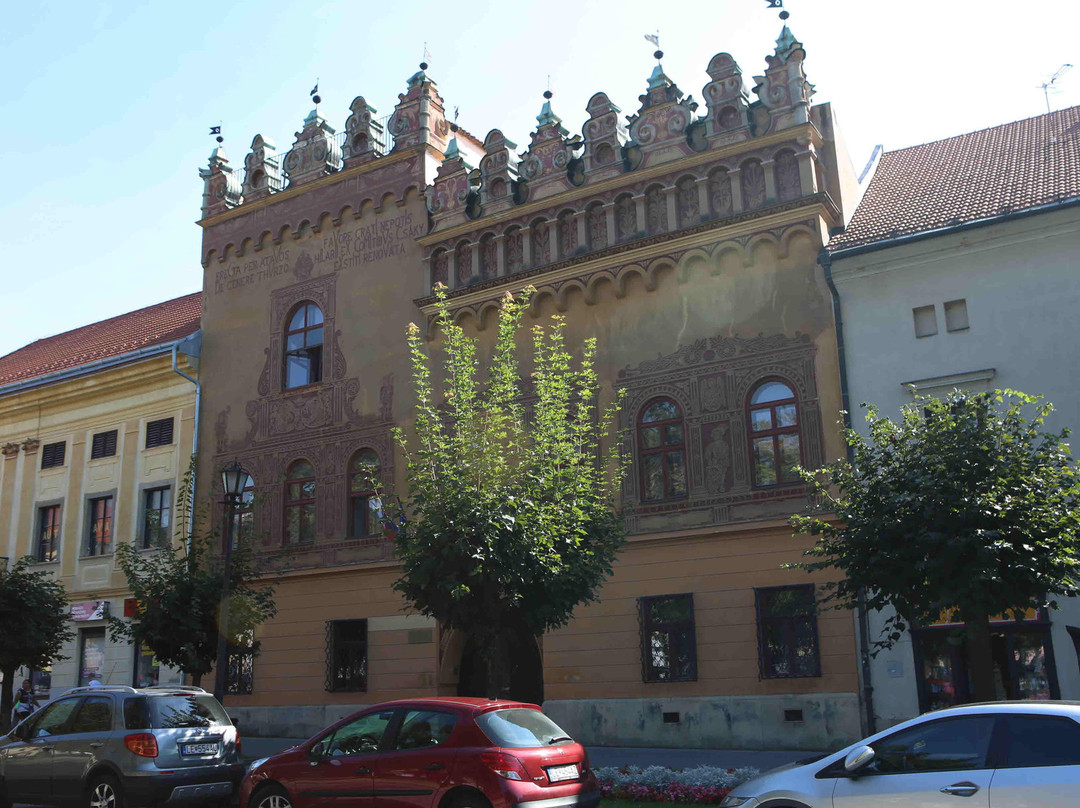 Old house Turzov