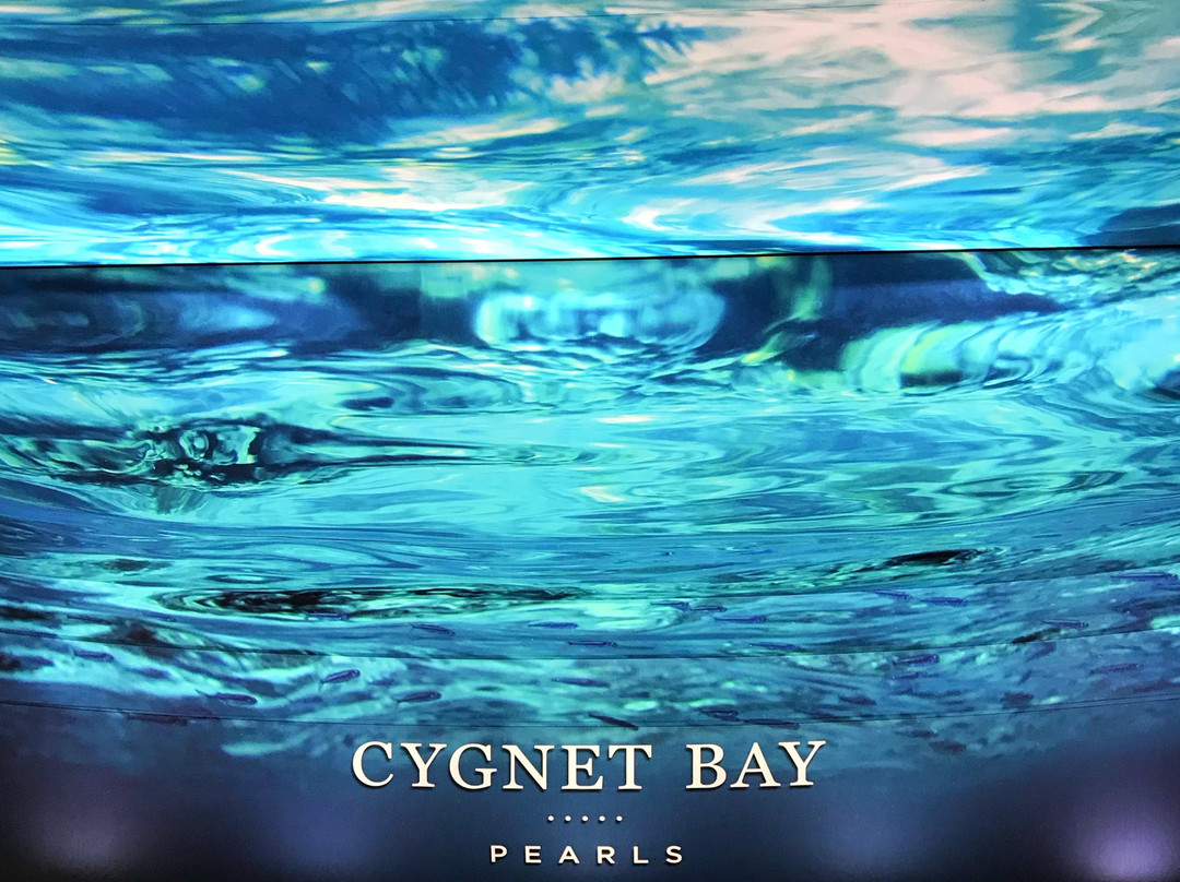 Cygnet Bay Pearls Showroom景点图片