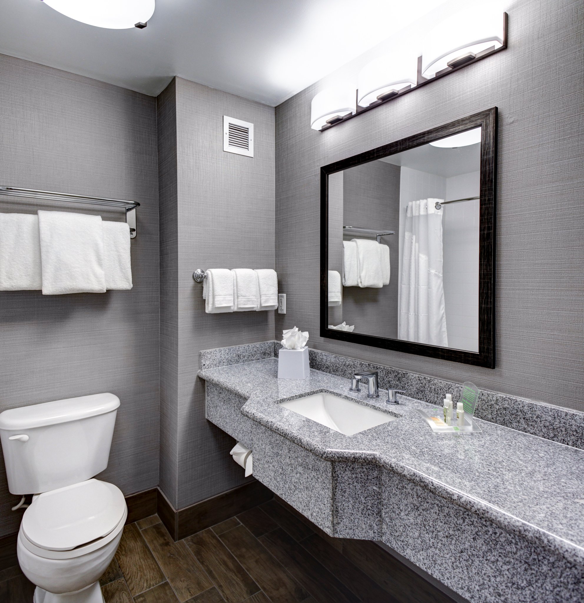 Holiday Inn Savannah Historic District By IHG-官方