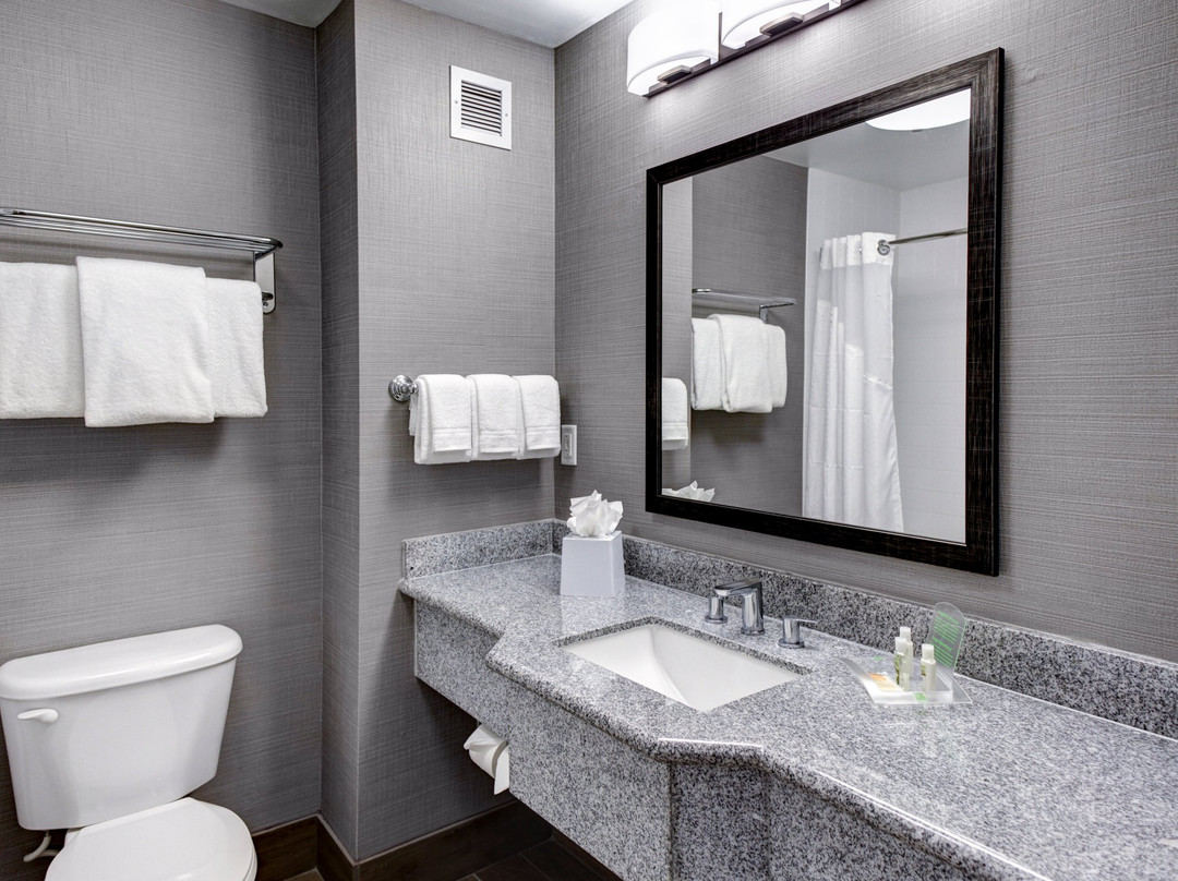 Garden City酒店住宿-Holiday Inn Savannah Historic District By IHG