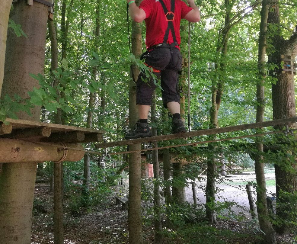 Kletterwald Hamburg-汉堡必去景点