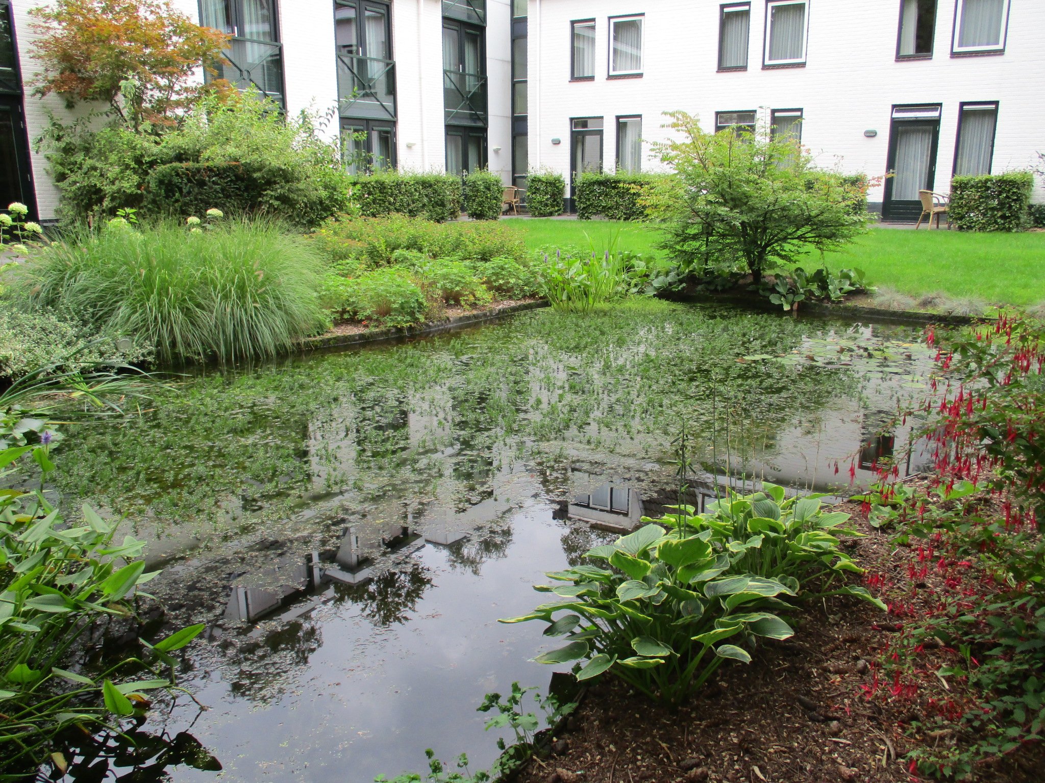 Witte Berken Natuurhotel-酒店景观