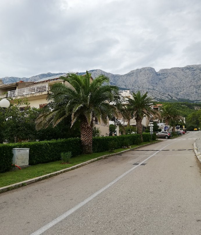 Hotel Villa Marija主图